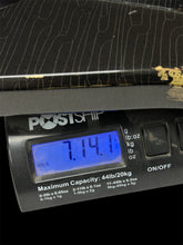 Load image into Gallery viewer, Chris’s Hammerhead!! (Pre owned)